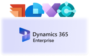 Dynamic 365 enterprise