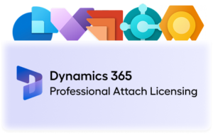 MS Dynamic 365