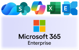 MS dynamic 365