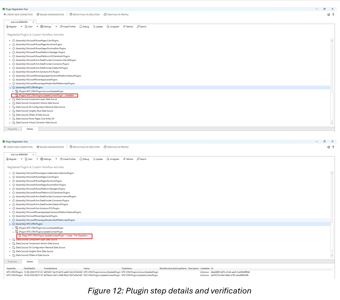 Plugin step details and verification